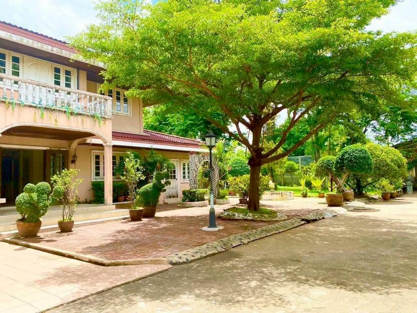 ขายที่ดินพร้อมบ้านเดี่ยว 2 ชั้น สไตล์คลาสสิก กรุงเทพนนท์ 14 ทำเลดี ใกล้ MRTแยกติวานนท์ 150 เมตร 2