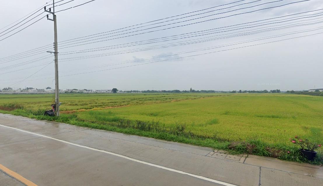 ✅ขายที่ดิน35ไร่ พื้นที่สีเหลือง หน้ากว้าง 85ม. ถนนบ้านกล้วย-ไทรน้อย ตำบลไทรน้อย อำเภอไทรน้อย นนทบุรี ใก้ลวัดไทรใหญ่   0948216456   6