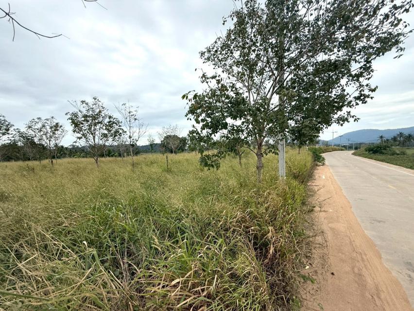 ขาย ที่ดิน ME397 แปลงใหญ่ ผัง EEC สีม่วงลาย เขาคันทรง ศรีราชา ชลบุรี ขนาด 151 ไร่ 3 งาน 49 ตรว ใกล้ ท่าเรือแหลมฉบัง ถนน 6