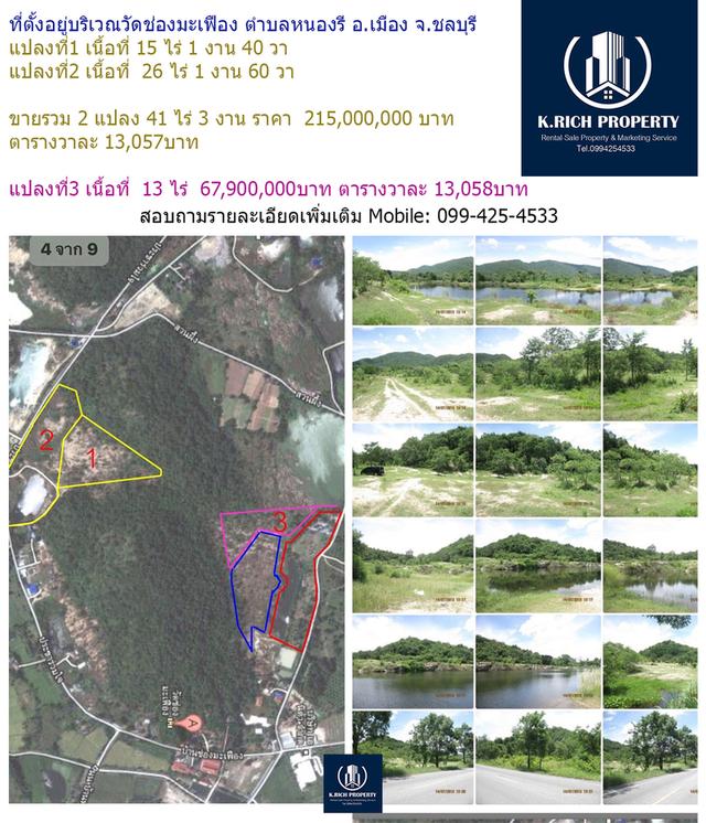 ขายที่ดินอำเภอเมือง ชลบุรี 54ไร่ 3 ตรว. Sale Land 54 Rai 3Sq.wa. Chonburi ,Chonburi City,NongRee 1