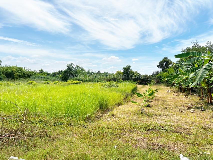 ที่ดินเปล่า เนื้อที่ 2 ไร่ ติดถนนเอราวัณ 1 ต.คลองสอง อ.คลองหลวง จ.ปทุมธานี 8