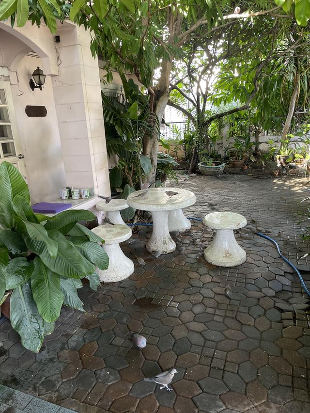 ขายบ้านเดี่ยว เนื้อที่ 55 ตรว. รังสิต 12