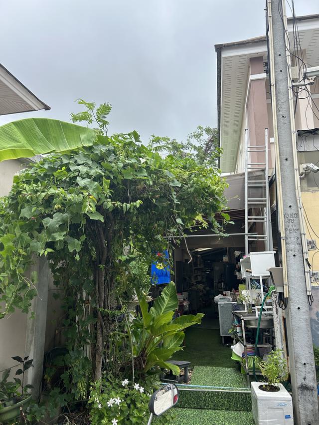 บ้าน2ชั้น3ห้องนอน3ห้องน้ำโซนบางแสน รูปย่อยที่ 2