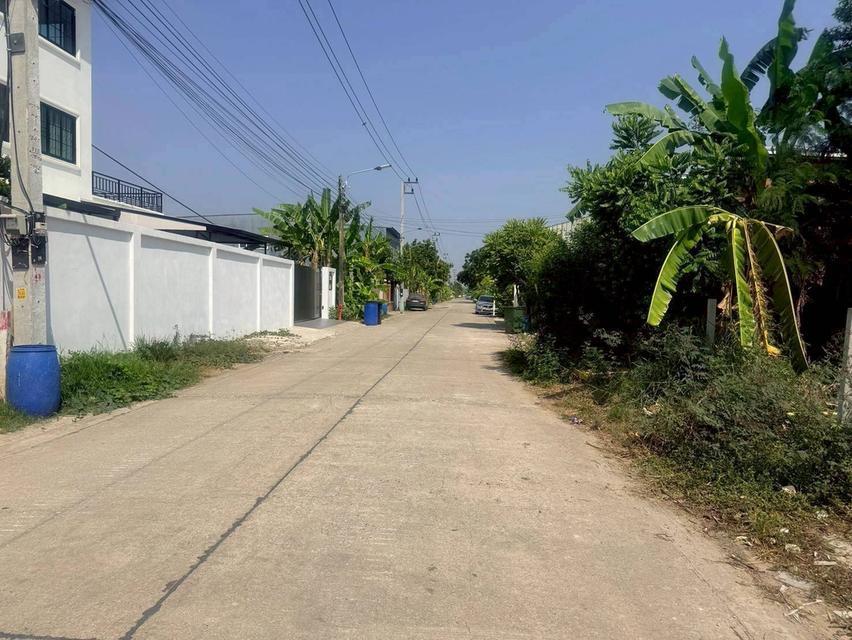 ขายถูกที่ดินลาดสวาย 124 ตรว ติดถนนคอรกรีตสาธารณะ ถมแล้ว ซ.ร่วมสุข 3 อ.ลำลูกกา จ.ปทุมธานี รูปย่อยที่ 2