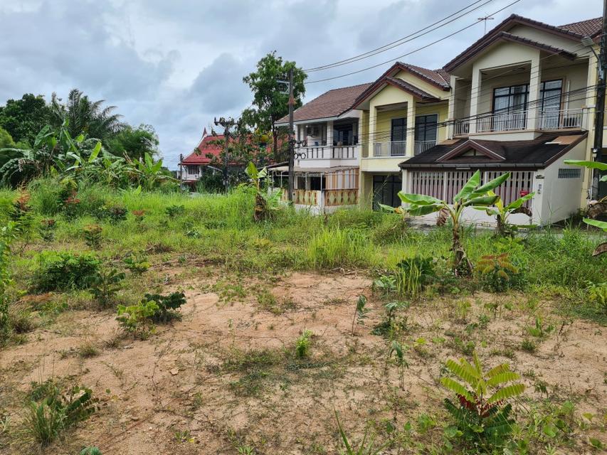 ขายที่โฉนด ปรับพื้นที่แล้ว ซอยไสน้ำเย็น เนื้อที่ 259 ตร.ว. เจ้าของขายเอง 3