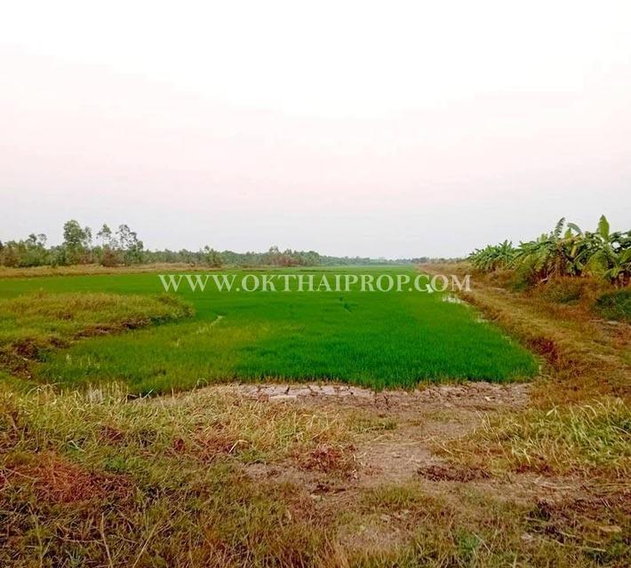 ที่ดิน คลอง14 ถนนรังสิต-นครนายก ใกล้ มศว. อ.องครักษ์ จ.นครนายก 2