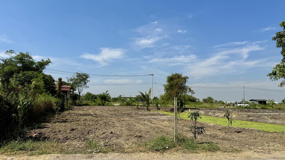 ขายที่ดิน 5 ไร่ ลำลูกกา คลอง 12 ทำเลดี ติดแหล่งชุมชน 4