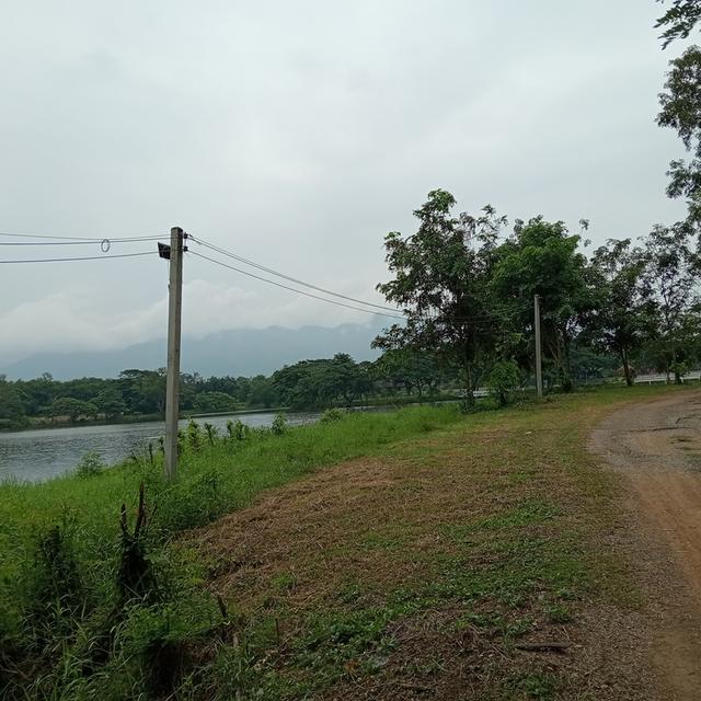 บ้านพร้อมที่ดิน 2 ไร่ 2 งาน 17 ตรว. 9