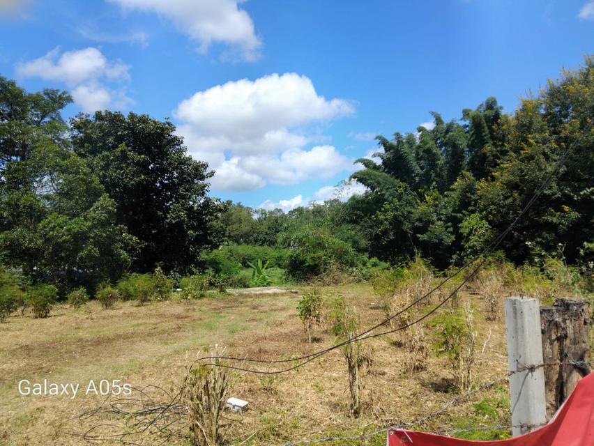 ขายที่ดินทำเลดี กลางเมืองเชียงราย 9