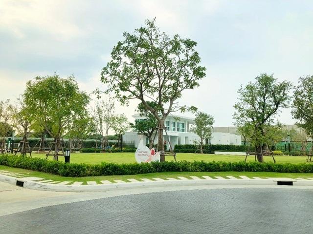 ทาวน์โฮม 2 ชั้น เซ็นทรัล เวสต์เกต 3กม. MRTคลองบางไผ่ 2.2 กม.พร้อมเฟอร์ฯ 2 นอน 3 น้ำ 18 ตร.วา. รัตนาธิเบศร์-บางใหญ่ เสาธง 5