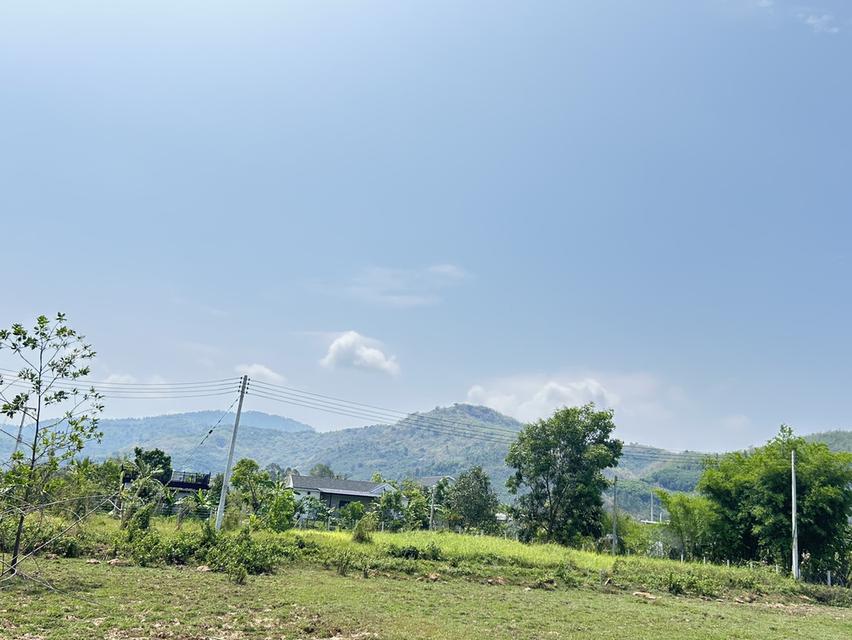 ที่ดิน วิวเขา ขายถูกๆ โฉนดครุฑเเดง ทำเลทอง 2