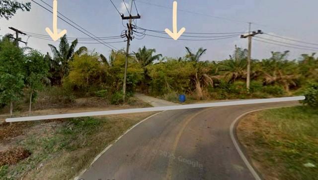 ที่ดินสระแก้ว ตำบลบ้านแก้ว อำเภอเมือง จ.สระแก้ว เนื้อที่รวม 274-1-61 ไร่ 4