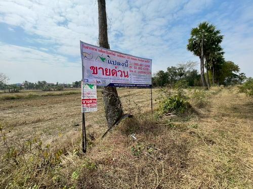 ขายที่ดิน 3 งาน 78.0 ตรว. ต.ขามทะเลสอ อ.ขามทะเลสอ จ.นครราชสีมา 3