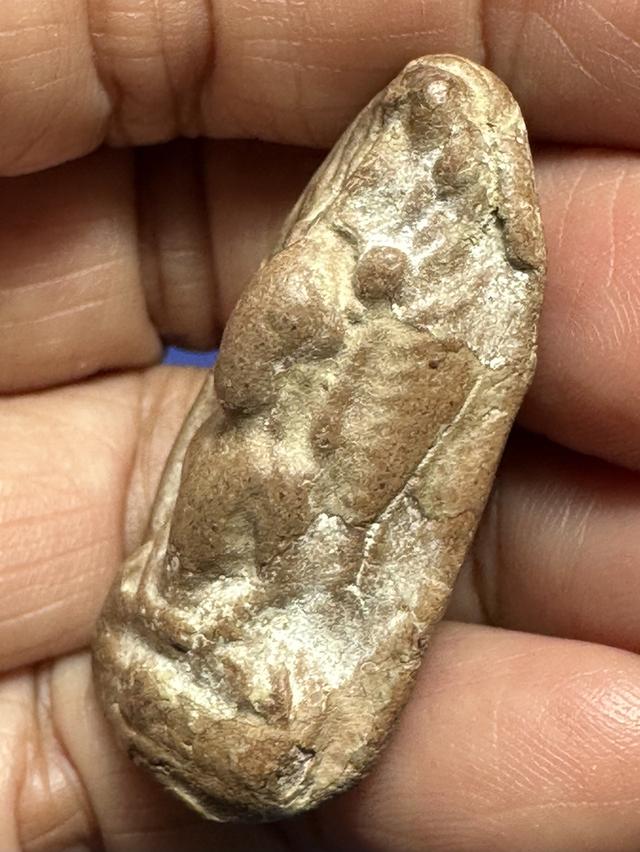 พระเนื้อดิน ไม่ทราบที่  4