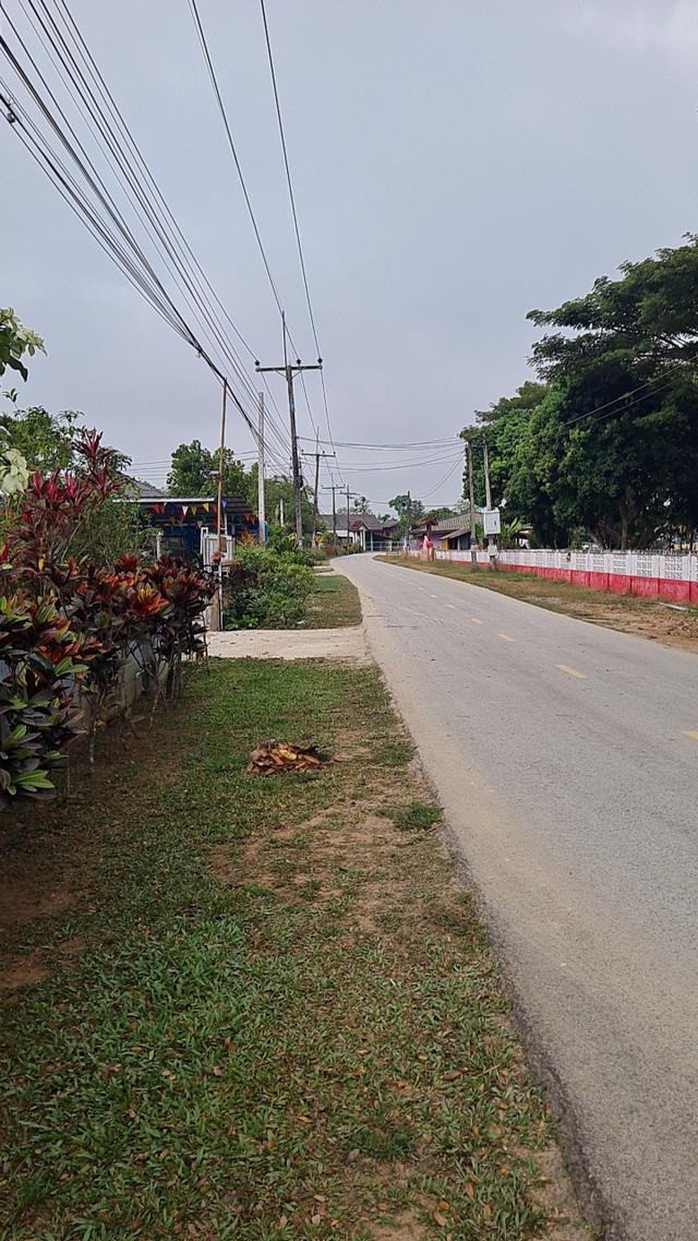 ขายที่ดินเปล่าถมดินแล้ว 2