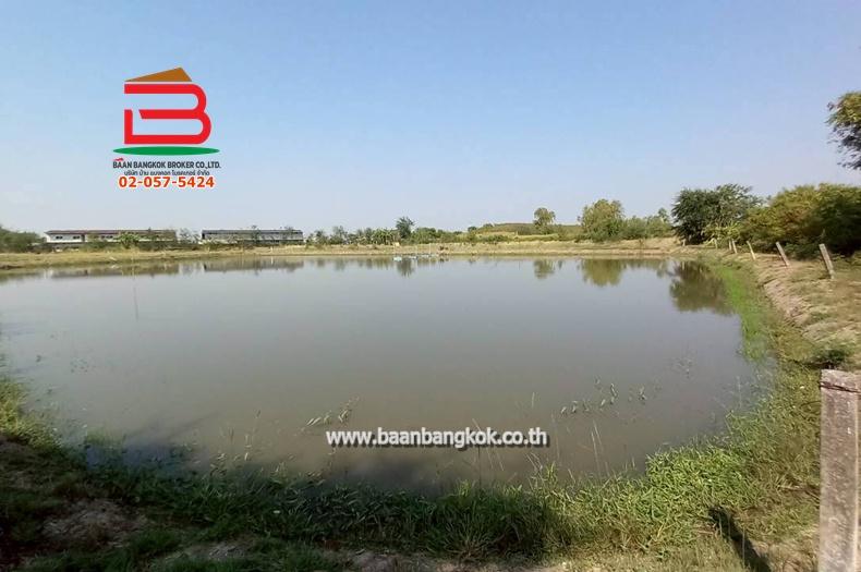 ที่ดิน ซอยโรงหลวง (ใกล้ห้างตะวันออกคอมเพล็กซ์) เนื้อที่ 9 ไร่ 1 งาน 67 ตรว. ตำบลหนองตีนนก อำเภอบ้านโพธิ์ ฉะเชิงเทรา 5