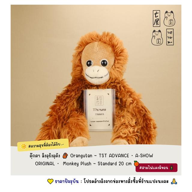 ตุ๊กตา ลิงอุรังอุตัง 🦧 Orangutan ~ TST ADVANCE ・ A-SHOW ORIGINAL・ Monkey Plush ~ Standard 20 cm 🍊