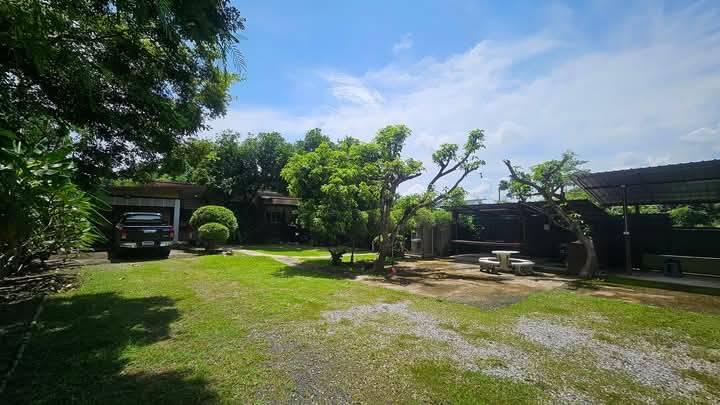 ขายที่ดินพร้อมบ้านสวน ใกล้กาดฝรั่ง ขนาด 290 ตร.ว. บ้านน้ำต้น ซอย 5 แม่ริม เชียงใหม่ 14