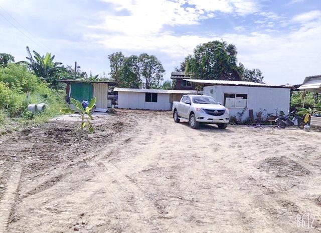 ปั้ม Shell ที่ดินให้เช่า บางพลี 175 ตร.ว.700 ตร.ม.ดูโฮม เทพารักษ์ 650 ม.ถนนเทพารักษ์ Standard Can 4