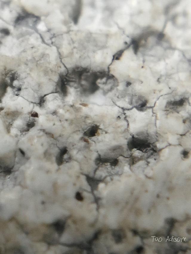 พระสมเด็จวัดระฆังโฆสิตาราม 11