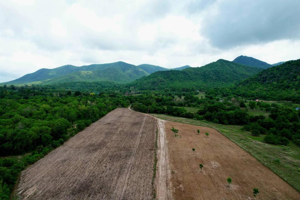 ที่ดิน พุหวาย ชะอำ จ เพชรบุรี ขนาด 6.375 ไร่  2