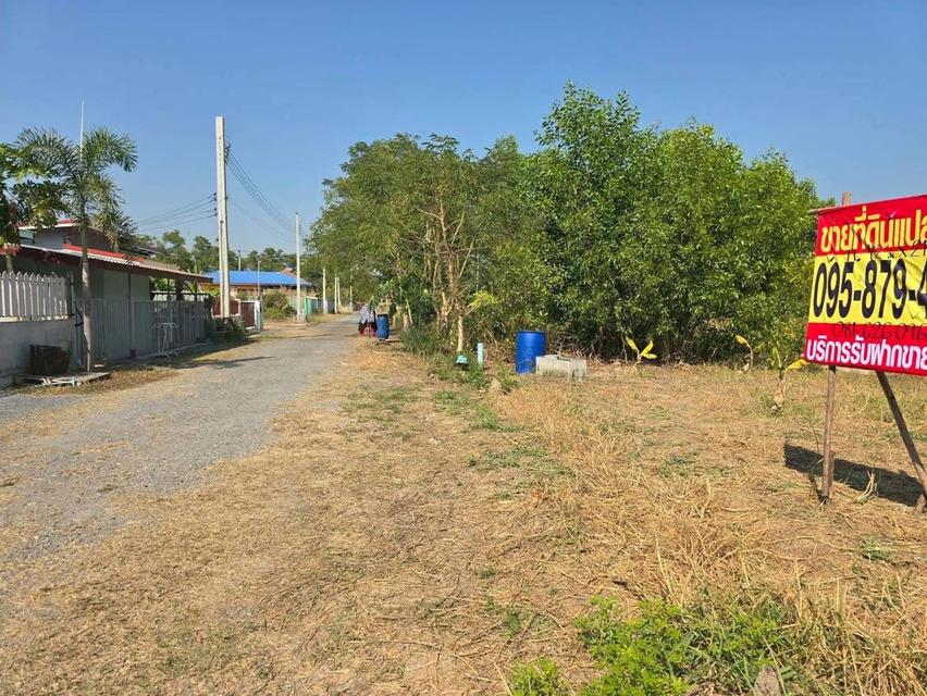 ขายด่วนที่ดิน 63 ตารางวา ) (ติดถนนสาธารณะ ประชา1 แขวงคลอง สิบสอง เขตหนองจอก กทม. 6