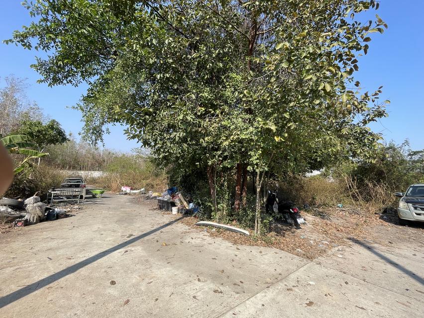 ที่ดินระยอง สวยร่มรื่น น้ำไม่ท่วม ทำร้านอาหารเท่ห์ๆ โรงคั่วกาแฟเก๋ๆเ ที่ตั้งอยู่หลัง bigc ระยอง ใกล้ ถนน บายพาส36 เนื้อที่ 196 ตรว เจ้าของขายเอง รูปที่ 6