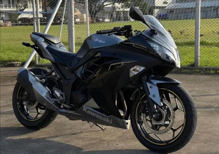 2015 Kawasaki Ninja 300 4