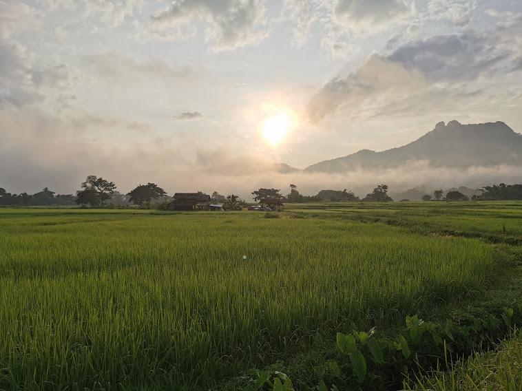 ที่ดิน จ.ลำปาง ที่นา วิวสวยบรรยากาศดี 1