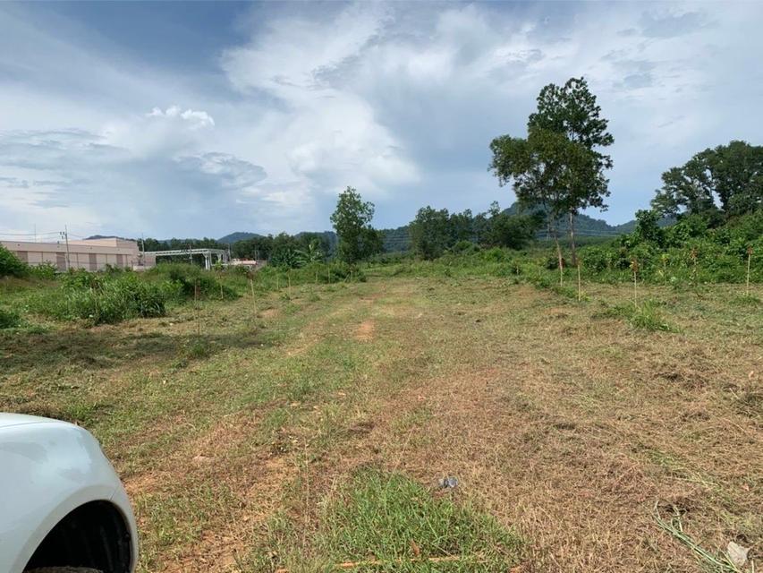 ✨ ที่ดินทำเลทอง ติดถนนใหญ่ ใจกลางถลาง ภูเก็ต📍 ติด HomePro และ Dynasty Tiletop✔ ทำเลเชิงพาณิชย์ ศักยภาพสูงมาก✔ หน้ากว้างติดถนน รถใหญ่เข้าออกสะดวก✔ 6