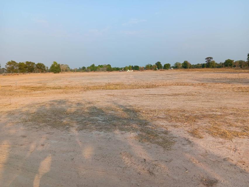 ที่ดิน 30 ไร่ ติดถนนเมืองพล หนองสองห้อง ถนนเจนจบทิศ ทางขึ้นลงทางด่วน มอเตอร์เวย์ M6 กรุงเทพ หนองคาย ที่ดินถมแล้ว 5 ปี พร้อมสร้างหมู่บ้าน 2