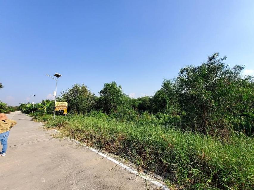 ขายด่วนที่ดินถนนฤชุพันธุ์ 568 ตารางวา ติดถนนคอนกรีตสาธารณะ ซอย ฤชุพันธุ์ 4 อ.ไทรน้อย จ.นนทบุรี 2