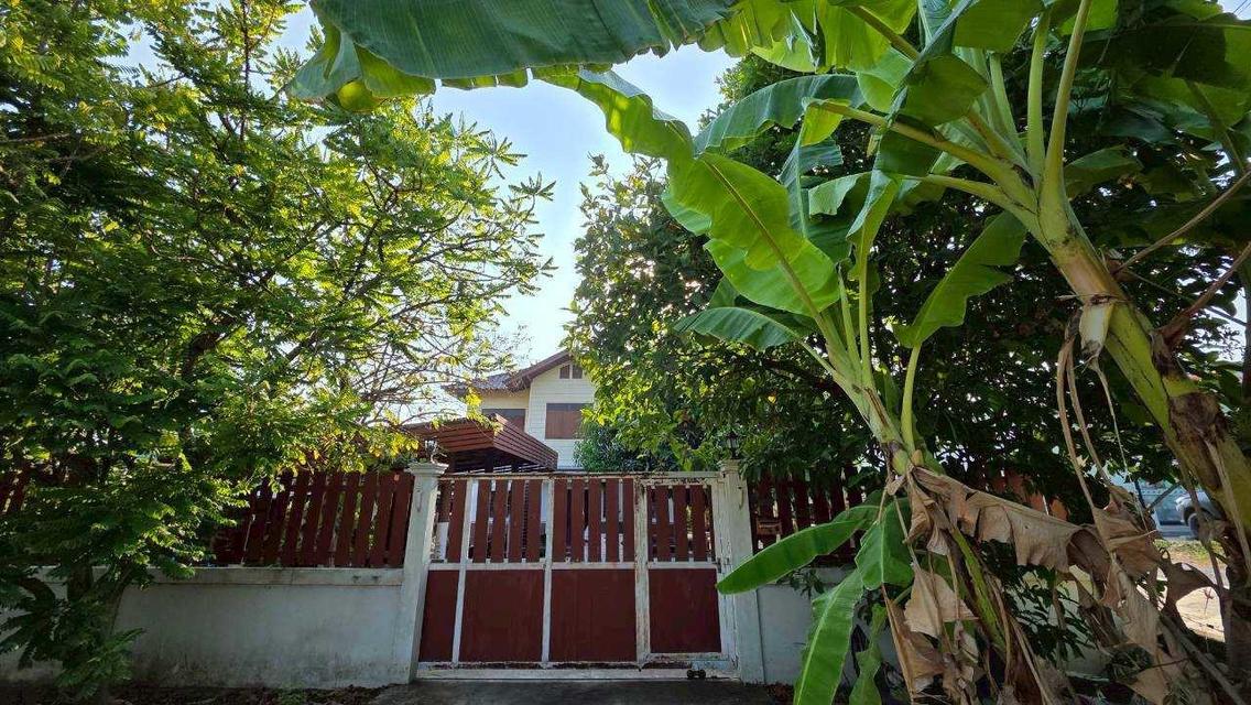 [ขายด่วน!] บ้านเดี่ยวแปลงใหญ่ 194.3 ตร.ว. ทำเลทองติด 7-11 ต.บางพูด จ.ปทุมธานี 7