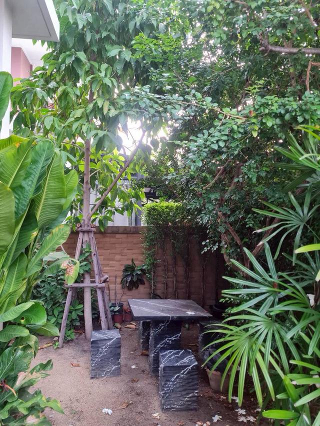 บ้านบุราสิริ 345 (ราชพฤกษ์) 11