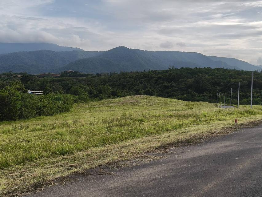 ขายที่บนเนินเขาใหญ่ โป่งตาลอง ปากช่อง ที่สูงบนเนิน 3.5 ไร่ วิวเขาใหญ่สวย ชัดมาก อากาศบริสุทธิ์ดีมาก ลมดีเย็นสบาย เดินทางสะดวก ใกล้เส้น 3052 ทอสคาน่า T 1