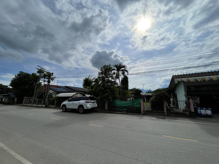 ขายที่ดินย่านแม่โจ้ 6