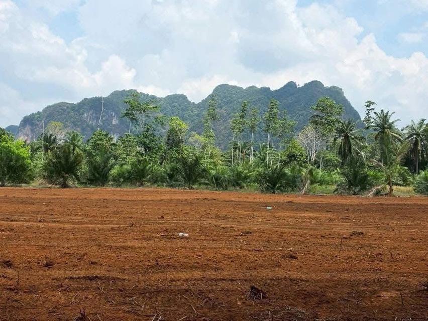 ที่ดินวิวภูเขา จ.กระบี่ 2