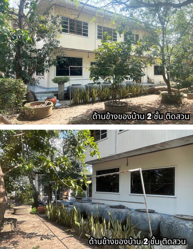 ขายที่ดินพร้อมสิ่งปลูกสร้าง 7