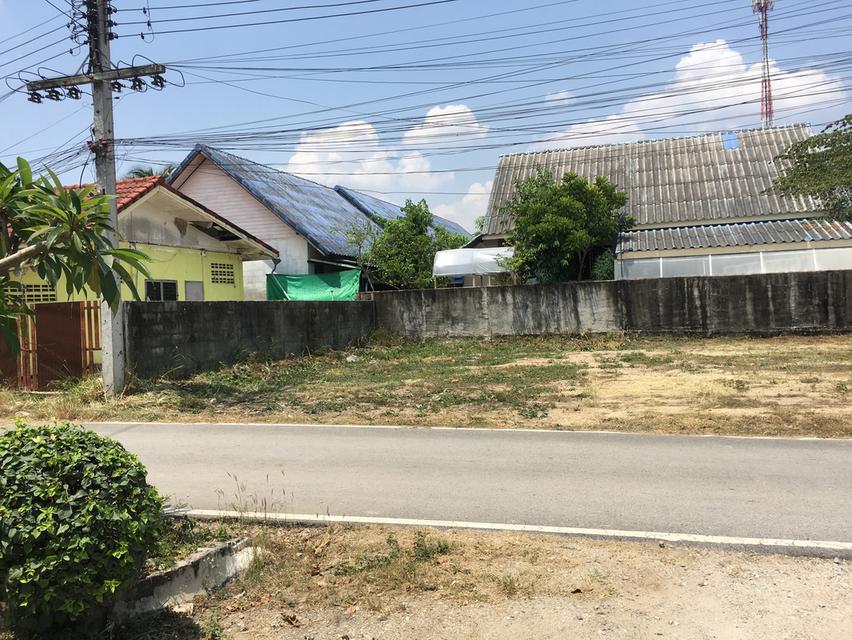 อยู่สะดวกสบาย ทำเลดี 50 ตรว. 11