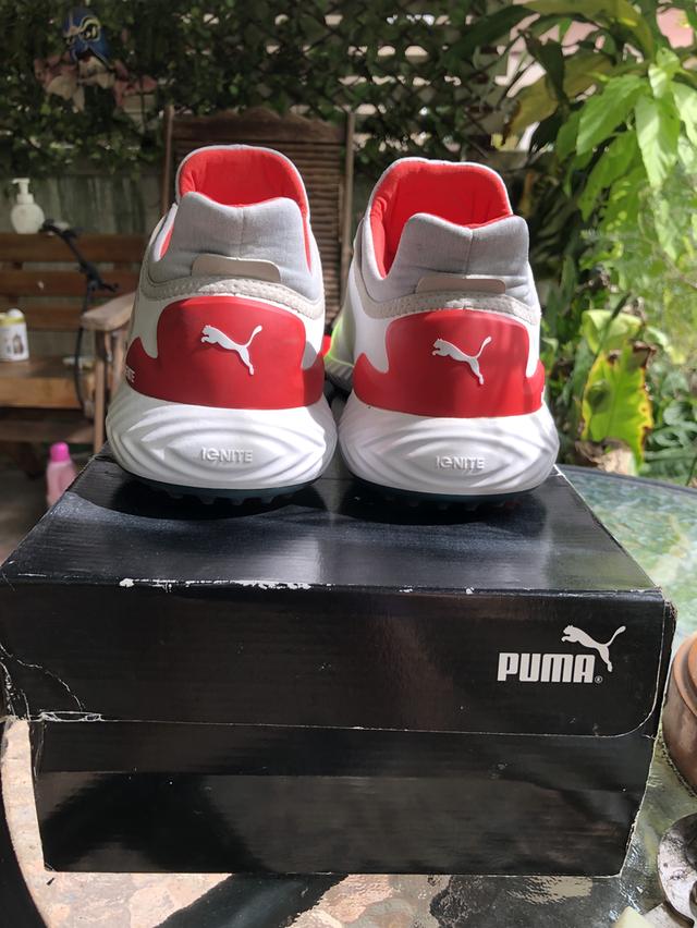 รองเท้ากอล์ฟพูม่า PUMA Golf Shoes (DISC) รูปที่ 4