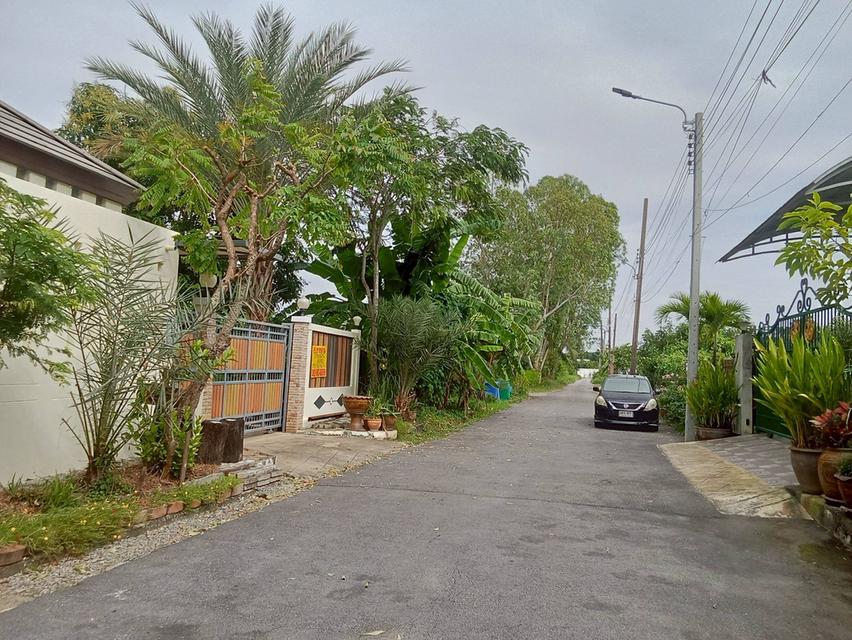 ขายบ้านเดี่ยว 2 ชั้น พุทธมณฑลสาย3 ซอย19 แยก6-14-5 3