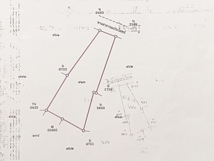ขายที่ดิน อ.บ้านค่าย จ.ระยอง - 4 ไร่ 1 งาน 92.3 ตารางวา 10