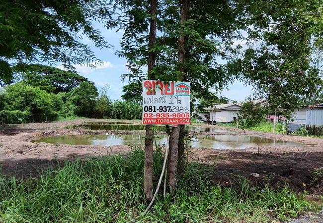 ขายที่ดิน ซอยมิตรไมตรี 14 ถนนมิตรไมตรี หนองจอก กรุงเทพ เนื้อที่ 1 ไร่ ถมแล้ว 2