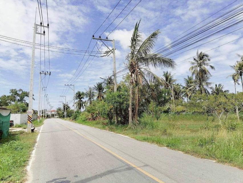 ขายที่ดินเปล่า บางละมุง พัทยา 7