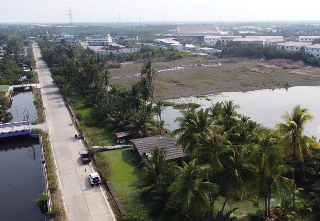 ขายที่ดิน 20 ไร่ ถนนบ้านแพ้ว ตำบลหลักสาม อำเภอบ้านแพ้ว สมุทรสาคร 3