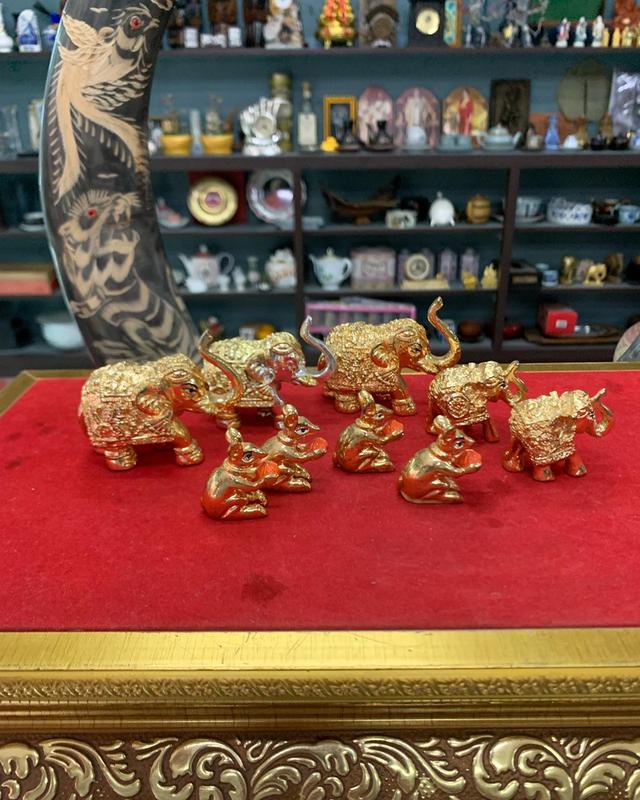 ช้าง งานเรซิน 9 ชิ้น