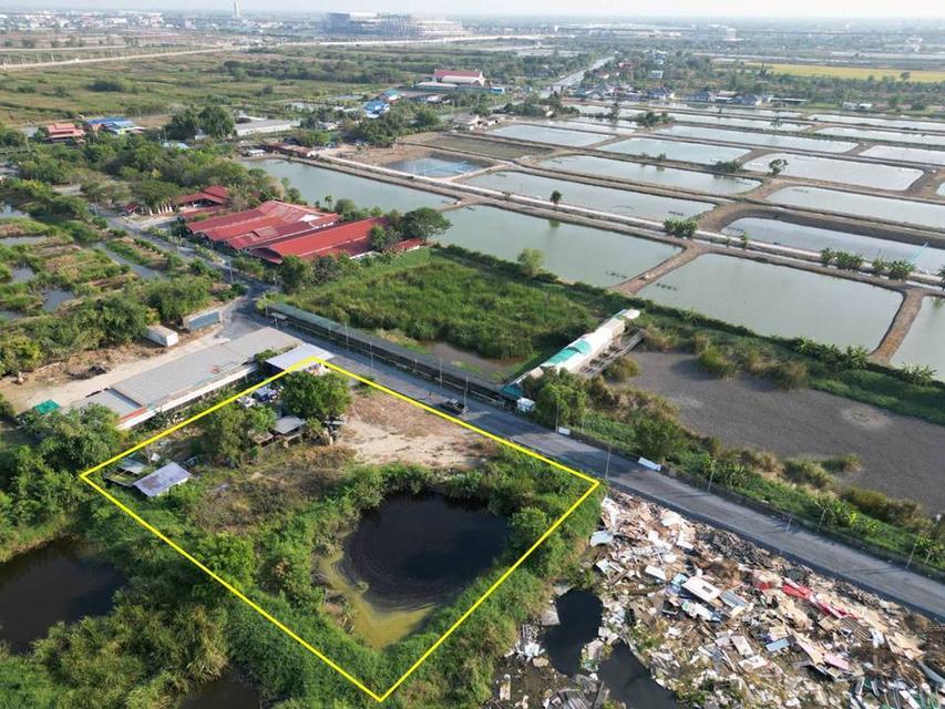 ขายที่ดิน2ไร่อยู่บ้านระกาศ​จังหวัดสมุทรปราการ​ 1