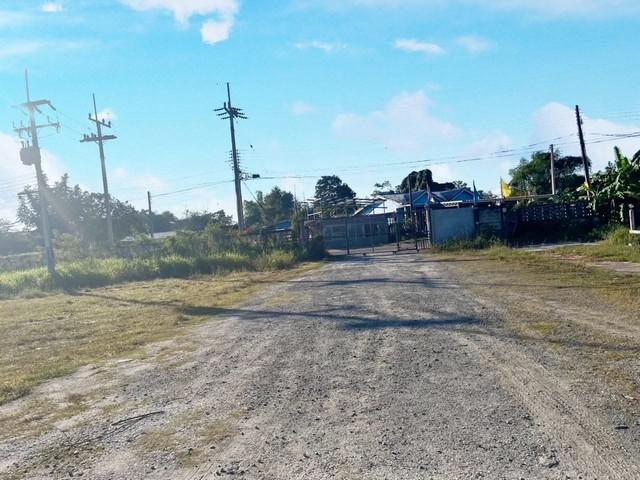 ขายโรงงานพนัสนิคมชลบุรี 18-2-87 ไร่ พื้นที่สีเหลือง พื้นที่ภายในโกดัง 1,600 ตรม เดิมทำโรงไม้เก่า ห่างตัวเมืองพนัส 2 กิโล 6