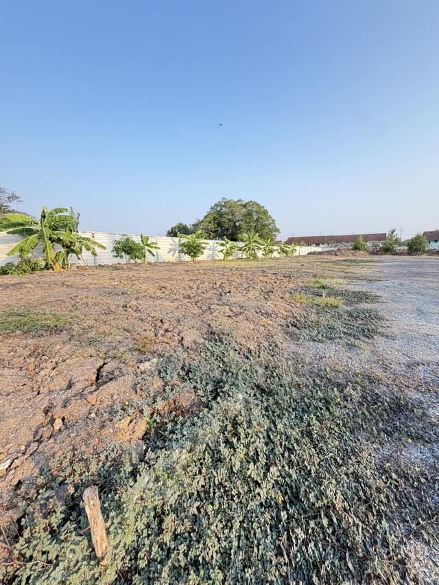 ที่ดินคลอง3 คลองหลวง ปทุมธานี 5