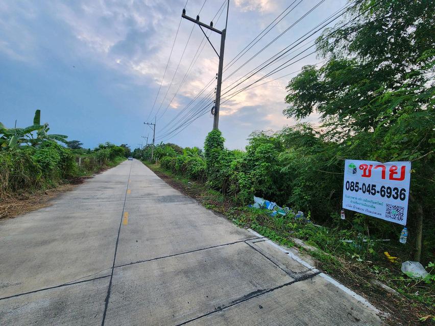 ขายที่ดิน รังสิต นครนายก คลอง7 แปลงสวย ขนาด1 ไร่เต็ม หนองเสือ- ซ.บึงบอน 10 ทำเลดีในราคาจับต้องได้ ✨ เพียง 1.5ล้านบาท 10